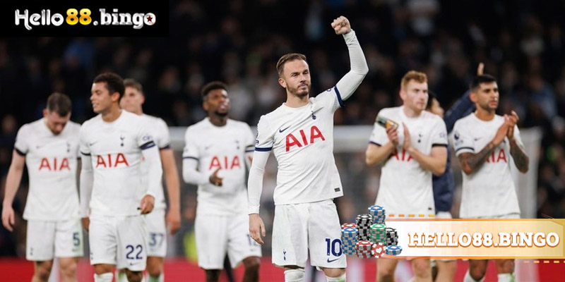 Soi kèo bóng đá đội bóng Tottenham của nước Anh được nhiều người quan tâm