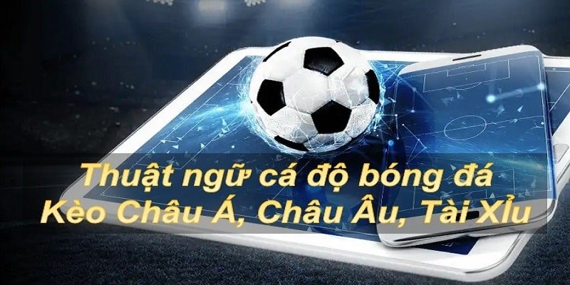 Thuật ngữ thường sử dụng trong cá độ bóng đá kèo châu Âu