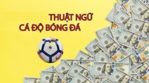 Thuật Ngữ Cá Độ Bóng Đá - Một Số Thuật Ngữ Phổ Biến Khi Chơi